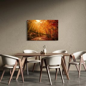 Obraz jesenného lesa (90x60 cm)