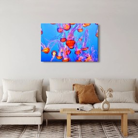 Obraz medúz v mori (90x60 cm)