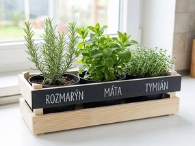 AMADEA Drevený obal s kvetináči a tabuľkou na písanie kriedou, 47x17x15cm Český výrobok