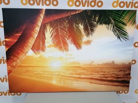 Obraz východ slnka na karibskej pláži - 90x60