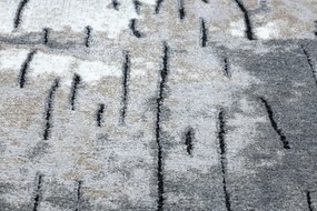 Moderný koberec COZY 8876 Rio, sivý