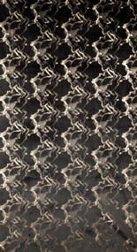 ZATEMŇOVACÍ ZÁVES NA PÁSKE RAJA 140X270 CM VZOROVANÁ