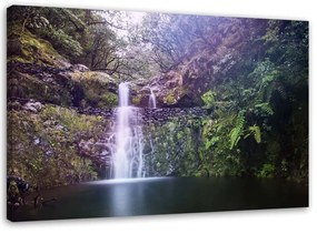 Obraz na plátně Vodopád Lesní příroda - 120x80 cm