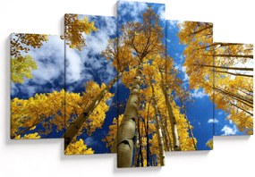 Obraz - Aspen (150x105 cm)