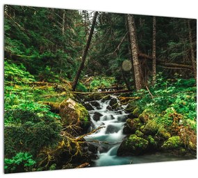 Sklenený obraz potoka v lese (70x50 cm)