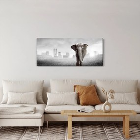 Obraz - Sloník vo veľkomeste, čiernobiely variant (120x50 cm)