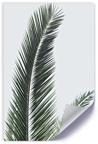Gario Plagát Detailný záber na palmové listy Farba rámu: Bez rámu, Veľkosť: 40 x 60 cm
