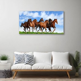 Obraz Canvas Cválajúci kone na pastvine 120x60 cm