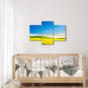 Obraz - Jarné nebo (90x60 cm)