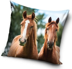 DETSKÁ DEKORAČNÁ OBLIEČKA NA VANKÚŠ HORSES 40X40 CM VZOROVANÁ