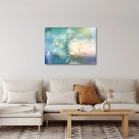 Obraz - šťastia (70x50 cm)