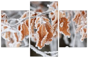 Obraz - Zamrznuté listy (90x60 cm)