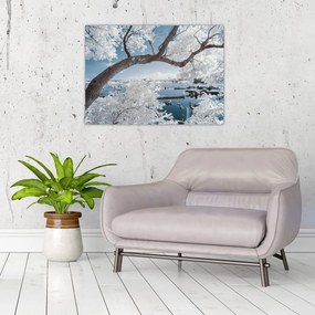 Sklenený obraz zasneženého stromu pri vode (70x50 cm)
