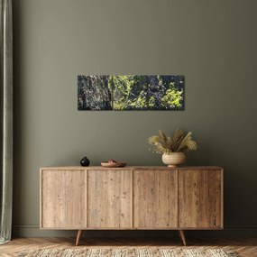 Obraz horskej rieky (s hodinami) (90x30 cm)