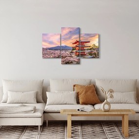 Obraz - Fuji (90x60 cm)