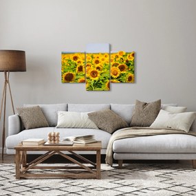 Obraz - Slnečnica (90x60 cm)