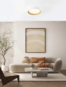 LED stmievateľné bielo-drevené moderné stropné svietidlo Sigi 45