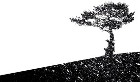 Samolepiaca tapeta silueta stromu - 150x100