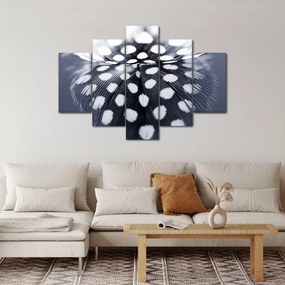 Obraz - Pierko (150x105 cm)