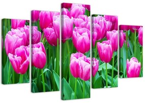 Obraz na plátně pětidílný Růžové tulipány - 200x100 cm