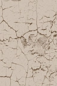 Koberec FD Sensi Nelo svetlobéžový