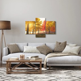 Obraz jesenných stromov (90x60 cm)