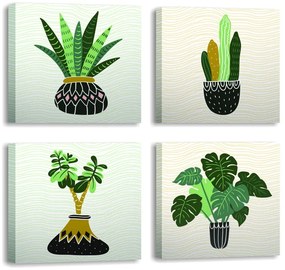 Obrazy v súprave 4 ks 30x30 cm Plants - Wallity