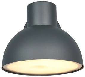 Nástenné vonkajšie svietidlo (výška 18,5 cm) Elbe – Trio