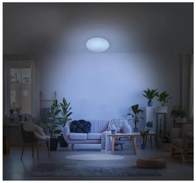 Livarno home Stropné LED svietidlo s efektom hviezdnej oblohy (bez čierneho lemu)  (100366535)