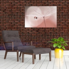 Obraz - Kvapka rosy (90x60 cm)