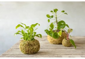 Kvetináč ø 14,5 cm Kokedama – Esschert Design