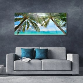 Obraz plexi Palma strom more krajina 125x50 cm