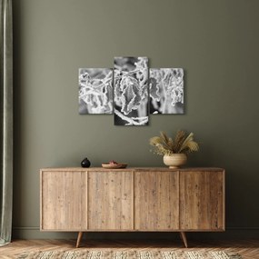 Obraz - Zmrznuté listy, čiernobiela (90x60 cm)
