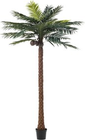 Okrasná palma v kvetináči Palm - Ø190 * 350cm