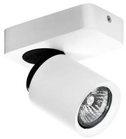 Azzardo AZ0662 - Bodové svietidlo TOMI 1xGU10/50W/230V