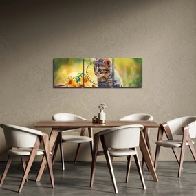 Obraz mačiatka pozerajúce sa na kvetinu (s hodinami) (90x30 cm)