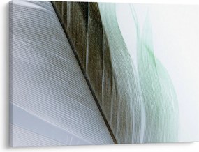 Obraz - Perie, makro (70x50 cm)