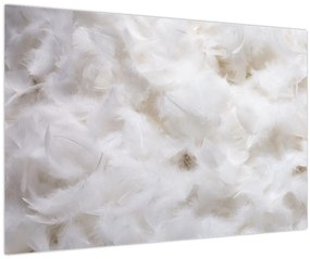 Obraz - Biele perie (90x60 cm)