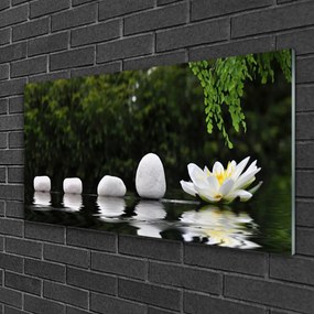 Obraz na skle Kamene kvet umenie 125x50 cm