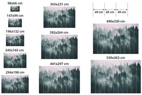 Samolepiaca fototapeta kytica tulipánov