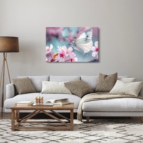 Obraz - Motýľ na čerešni (90x60 cm)