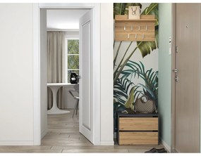 Skrinka na topánky Modo 1 - antracit/dub artisan