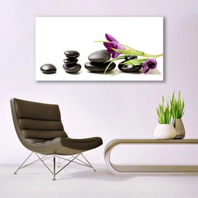 Obraz plexi Kvet kamene umenie 120x60 cm