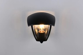 Nástenné vonkajšie svietidlo (výška 24 cm) Venta – Trio