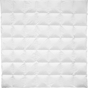 XXXLutz CELOROČNÁ PRIKRÝVKA, 200/200 cm, páperie Billerbeck - Prikrývky & vankúše - 003279008303
