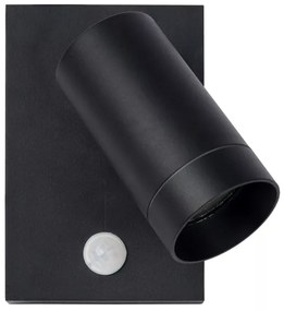 Lucide 09831/01/30 - Vonkajšie svietidlo s pohybovým senzorom TAYLOR 1xGU10/50W/230V IP54