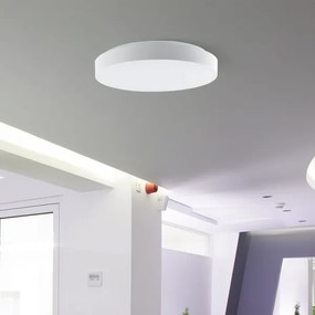 LED Stmievateľné stropné svietidlo LED/60W/230V 3000-6500K 49,5 cm biela + DO