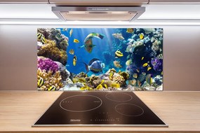 Panel do kuchyne Koralový útes pksh-36026012