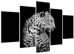 Obraz - Leopard (150x105 cm)