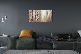 Obraz canvas stromy 140x70 cm